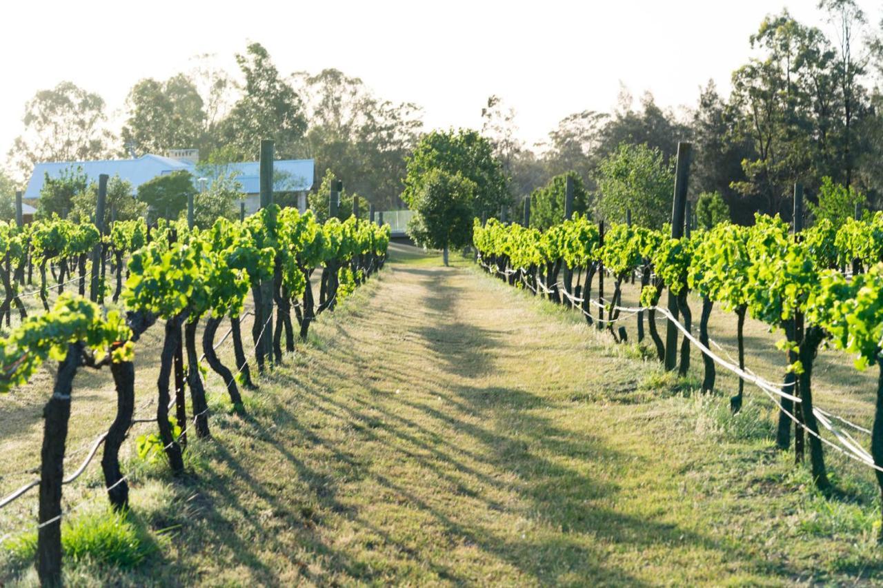 Thistle Hill Guesthouse - Walk To Many Wineries And Restaurants Pokolbin Exterior foto